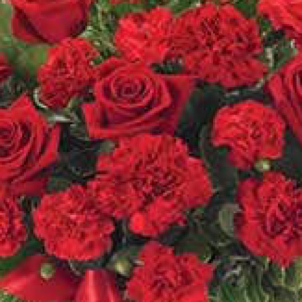 Meet your Posher, Saddiqua